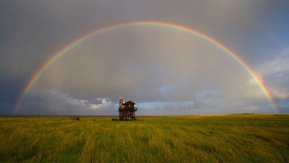 Ein Regebogen spannt sich über eine kleine Holzhütte auf der Insel Trischen. © NDR Foto: Benjamin Gnep