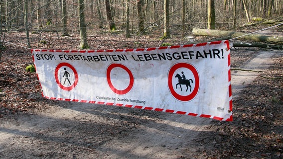 In einem Waldstück hängt ein Banner mit der Aufschrift: Stop! Forstarbeiten! Lebensgefahr! © Schleswig-Holsteinische Landesforsten 