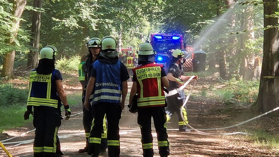 Einsatzkräfte der Feuerwehr und des THW üben Bekämpfung von Waldbränden in einem Wald im Kreis Segeberg. © NDR Foto: Oliver Kring