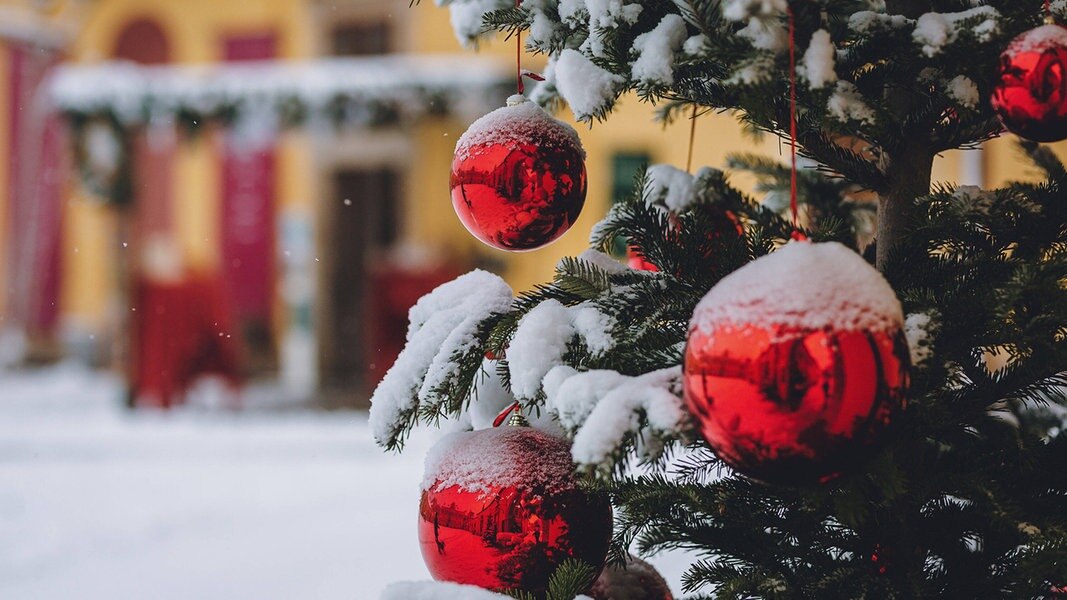 Weihnachtsbäume Händler zufrieden mit Geschäft NDR.de Nachrichten