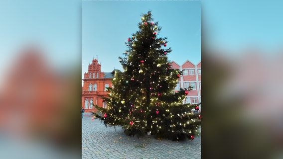 Ein leuchtender Weihnachtsbaum steht in der Innenstadt von Heiligenhafen. © Ostsee-Holstein-Tourismus e.V. 