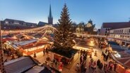 Ein leuchtender Weihnachtsbaum steht auf dem Rathausplatz von Lübeck. © Ostsee-Holstein-Tourismus e.V. 