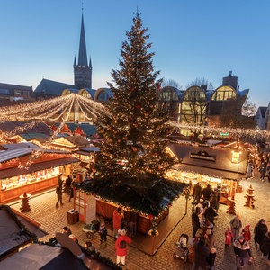 Ein leuchtender Weihnachtsbaum steht auf dem Rathausplatz von Lübeck. © Ostsee-Holstein-Tourismus e.V. 