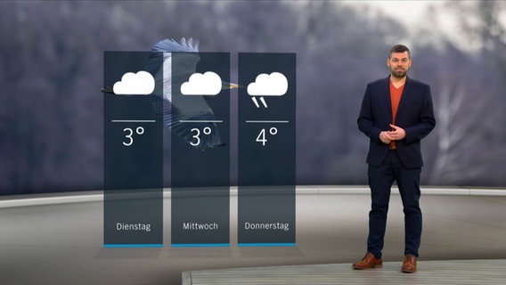 NDR Moderator Sebastian Wache steht im Studio mit der Wettervorhersage. © NDR 