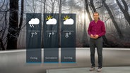 NDR Moderator Meeno Schrader steht im Studio mit der Wettervorhersage. © NDR 