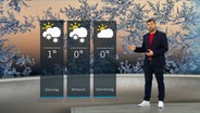 Wetterexperte Sebastian Wache steht im Studio mit der Wettervorhersage. © NDR 