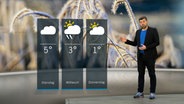 Wetterexperte Sebastian Wache steht im Studio mit der Wettervorhersage. © NDR 