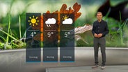 NDR Moderator Meeno Schrader steht im Studio mit der Wettervorhersage © NDR 