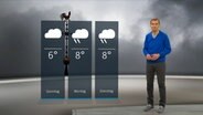 NDR Moderator Meeno Schrader steht im Studio mit der Wettervorhersage. © NDR 