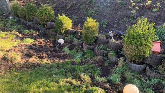 In einem Garten sind mehrere Schäden durch Wildschweine verursacht worden © NDR Foto: Lena Haamann