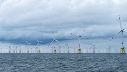 Ein Offshore-Windpark in der Nordsee © picture alliance / imageBROKER/Wolfgang Diederich Foto: imageBROKER/Wolfgang Diederich