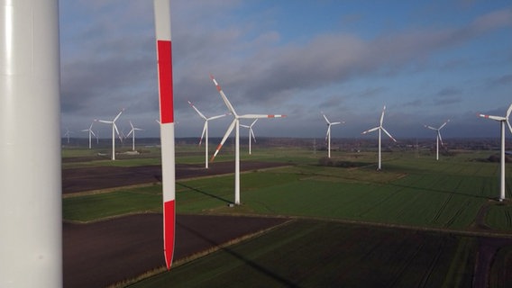 Auf freien Flächen stehen zahlreiche Windkraftanlagen mit rot-weißen Rotorblättern.  © NDR 