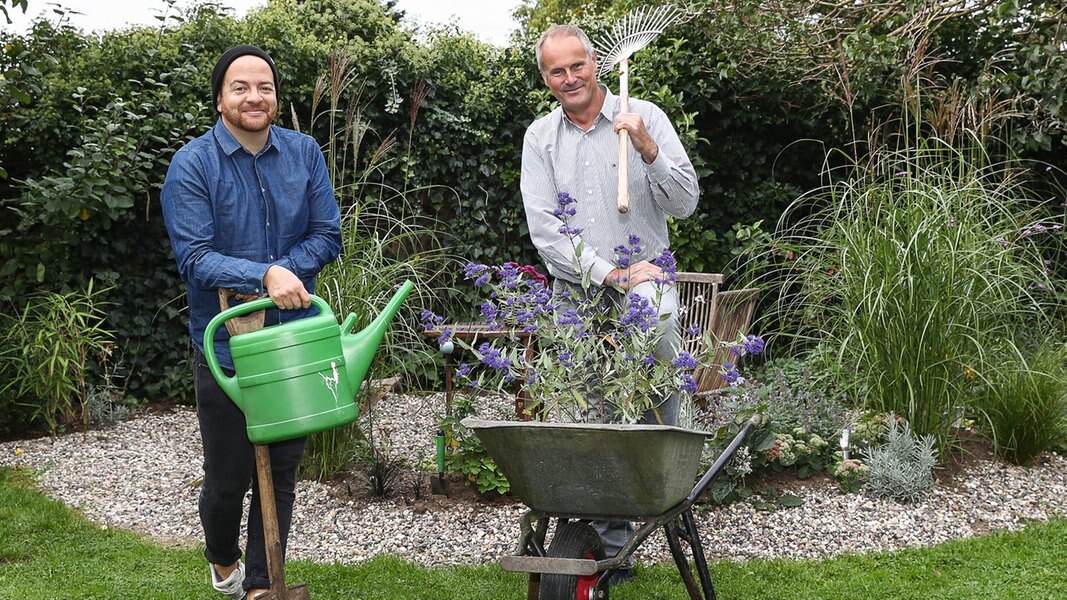 Neuer Podcast &quot;Die Zarten im Garten&quot; NDR.de NDR 1