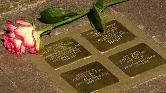 Vier Stolpersteine auf dem Boden, daneben liegt eine Rose © NDR Foto: NDR Screenshot