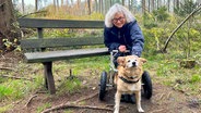 Steffi Siemer geht als ehrenamtliche Helferin mit Rolli-Hund Bodo spazieren. © NDR Foto: Marie Schiller