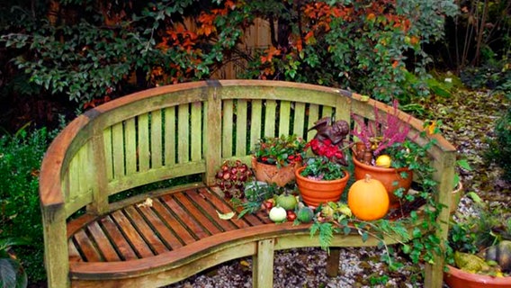 Gartenmobel Aus Holz Reinigen Und Pflegen Ndr De Ratgeber Garten