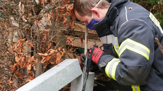 Ein Feuerwehrmann schaut in einen Metallzaun © Feuerwehr Celle Foto: Feuerwehr Celle