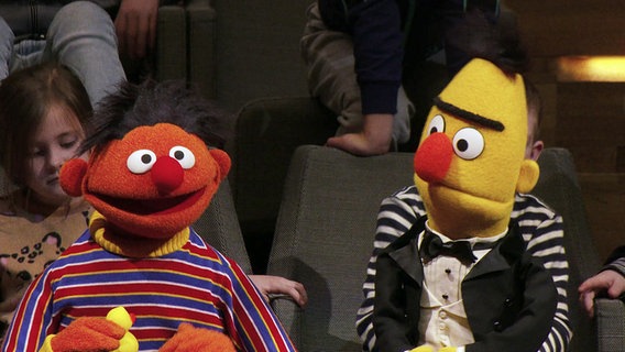 Ernie und Bert und das NDR Elbphilharmonie Orchester beim Neujahrskonzert in der Elbphilharmonie. © Screenshot 