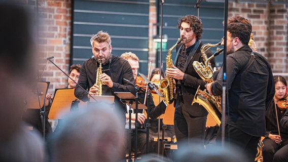 Die NDR Radiophilharmonie beim Abschlusskonzert der Festspiele Mecklenburg-Vorpommern 2024 © NDR Foto: Peer Bothmer