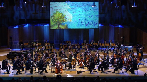 Konzertstream: Stanislav Kochanovsky und die NDR Radiophilharmonie beim Schulklassenkonzert "Orchester-Detektive" im NDR Konzerthaus am 07.03.2025 © Screenshot 