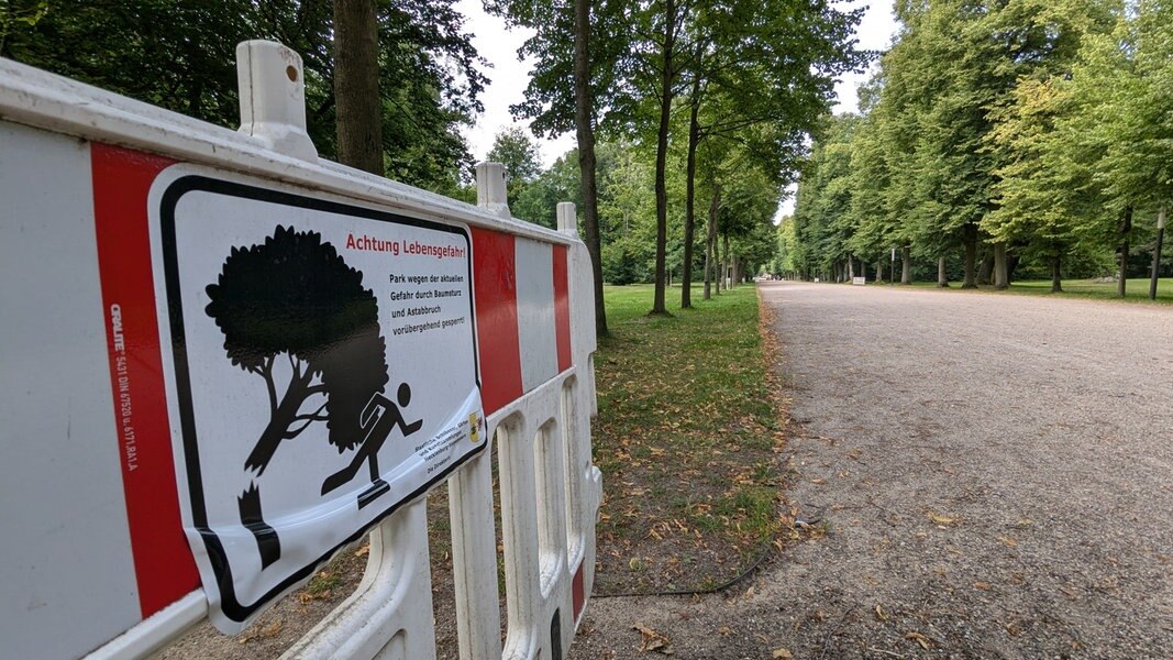 Hunderte Bäume im Schlosspark Ludwigslust gesichert