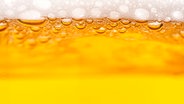 Supernahe Aufnahme von Bier: gelbe Fläche. Luftbläschen und Schaumschicht. © Fotolia Foto: Iryna Denysova