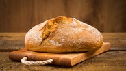 Ein frisch gebackenes Brot mit schöner Kruste liegt auf einem Holzbrett. © Colourbox Foto: Roman Tsubin