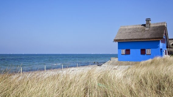 Reetgedecktes blaues Ferienhaus an der Ostsee in Heiligenhafen © Fotolia Foto: Ralf Gosch