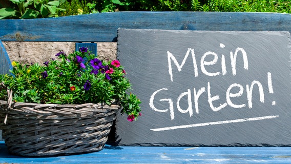 Eine blaue Gartenbank aus Holz, darauf ein mit Blumen bepflanzter Korb und eine Schiefertafel mit der Aufschrift "Mein Garten" © colourbox Foto: Maurice Schuckart