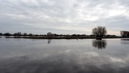 Hochwasser an der Elbe bei Bleckede, im Wasser spiegeln sich die Wolken und die Silhouetten der Bäume vom Ufer. © NDR Foto: Anja Deuble