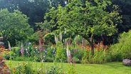 Ein Garten mit Rasen, umgeben von geschwungenen bunten Staudenbeeten, und Bäumen © Aktion Offener Garten Schleswig-Holstein und Hamburg 