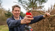 Gärtner Peter Rasch schneidet mit einer Akku-Gartenschere eine Ast ab. © NDR Foto: Udo Tanske