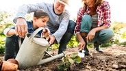 Ein Mädchen, eine jüngere Frau und ein älterer Mann hocken vor einem Beet und gießen eine junge Pflanze. © colourbox Foto: -