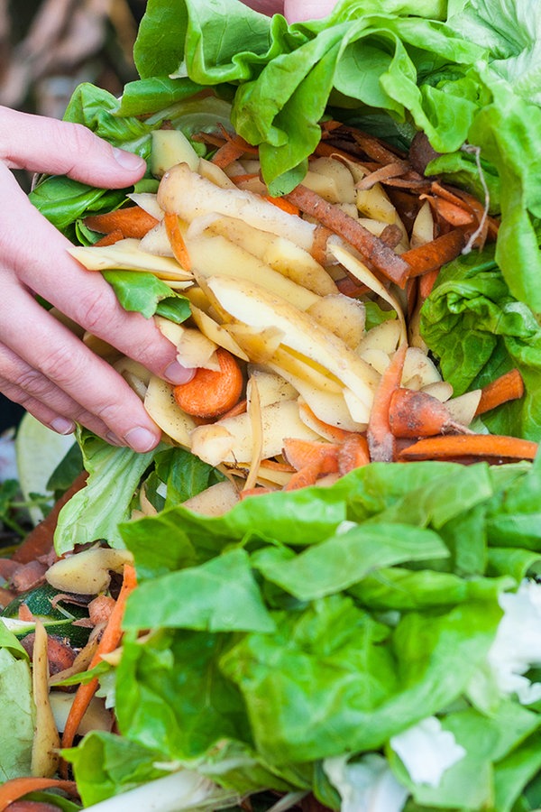 Kompost Richtig Anlegen Und Umsetzen Ndr De Ratgeber Garten