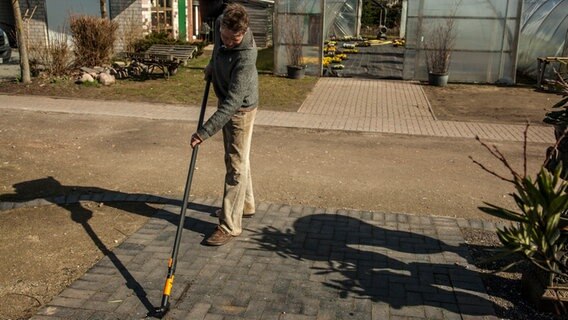 Unkraut In Fugen Entfernen So Klappt S Ndr De Ratgeber Garten