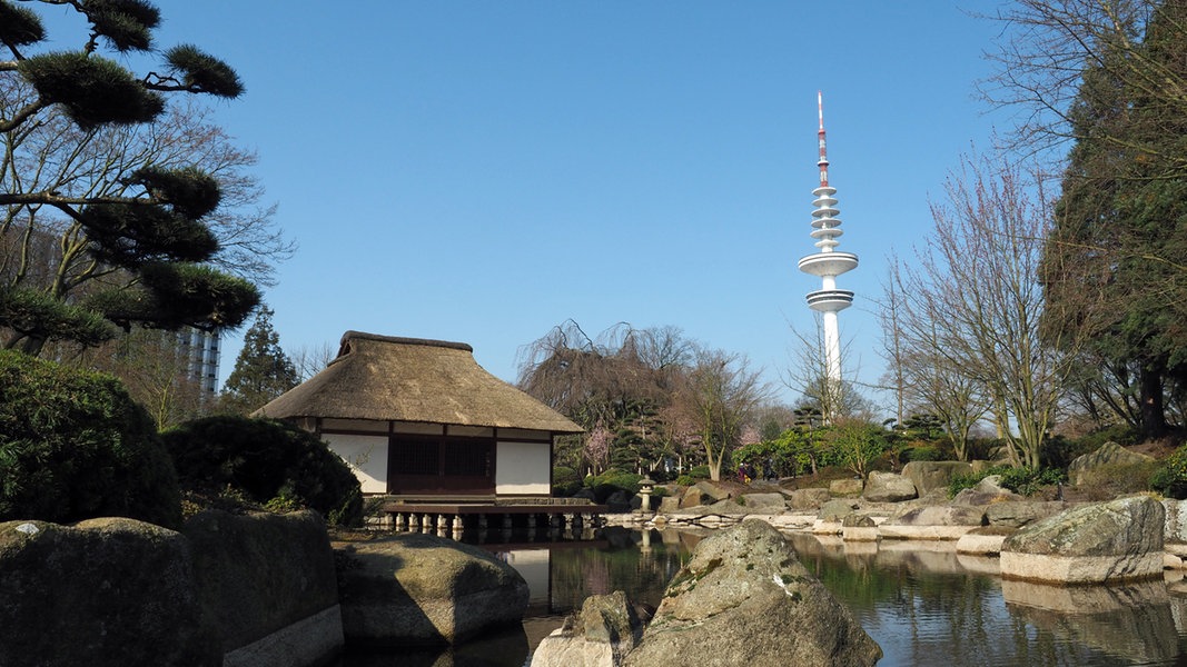 Planten un Blomen: Japan Festival in Hamburg