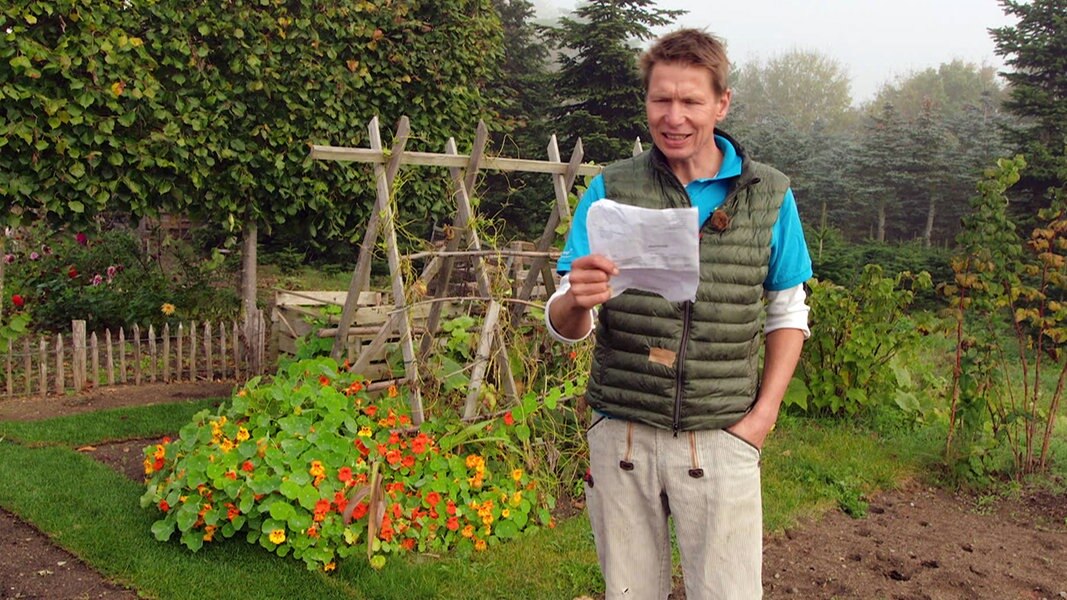 Von Gartenhibiskus bis Mehltau Gartentipps von Peter