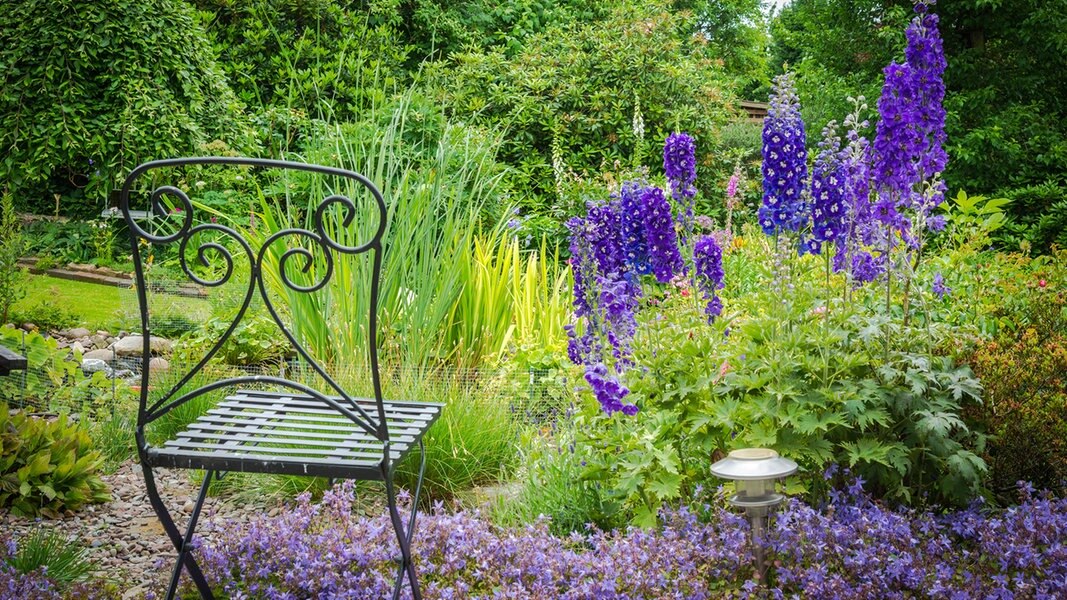 Mit Prachtstauden üppige Beete Gestalten | NDR.de - Ratgeber - Garten ...