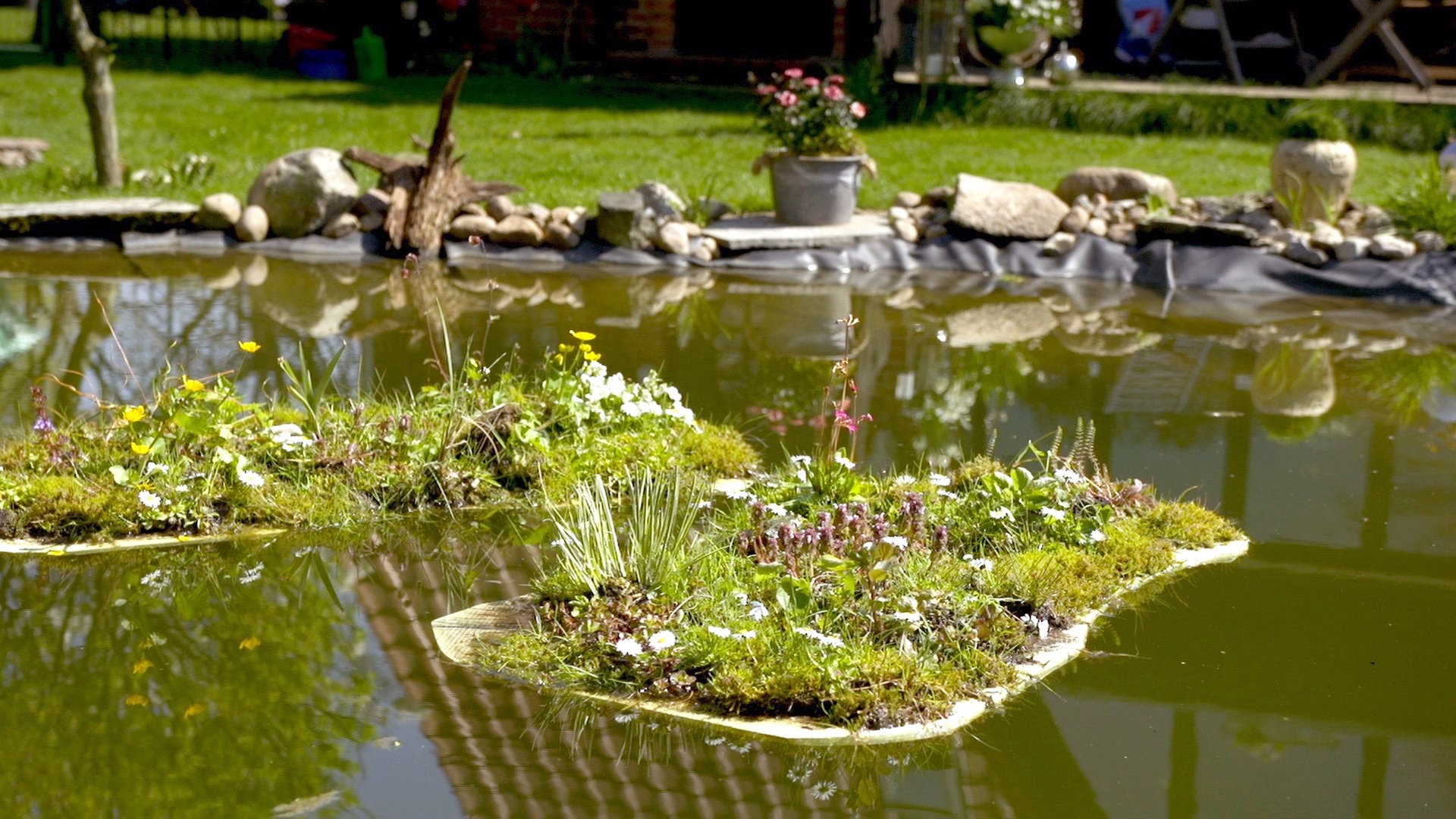 Substrat für Ihren Teich – diese Materialien eignen sich