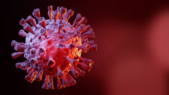 Rotes Bild mit dem Modell eines SARS-Cov-2-Virus mit den Spike-Proteinen. © Colourbox/ Przemyslaw Iciak Foto: Przemyslaw Iciak