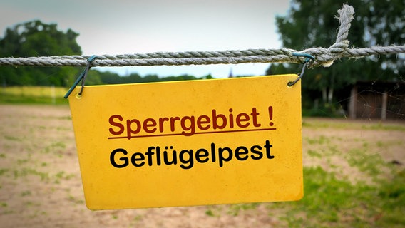 Ein Schild mit der Aufschrift "Sperrgebiet! Geflügelpest" hängt am Eingang eines Bauernhofes. © Colourbox Foto: Heiko Küverling