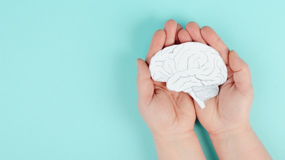Die Zeichnung eines Gehirns liegt in zwei Händen vor türkisem Hintergrund. © IMAGO / Wirestock Foto: IMAGO / Wirestock