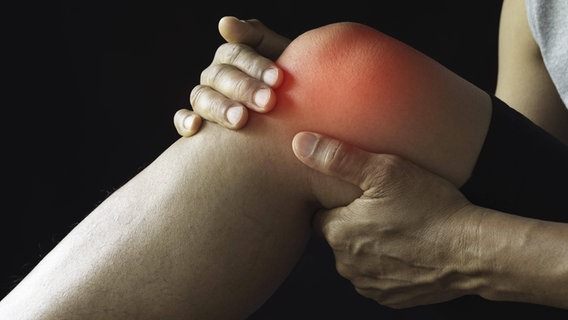 Schleimbeutelentzündung, Symbolbild: Eine Person hält sich das Knie vor Schmerzen. Der Schmerzpunkt des Knies ist rot eingefärbt. © imago / Panthermedia Foto: krisa99