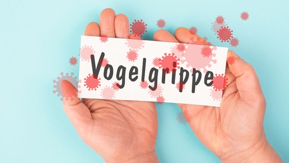 Zwei Hände halten ein Schild mit der Aufschrift "Vogelgrippe", darüber sind grafisch dargestellte Viren zu sehen. © Colourbox 