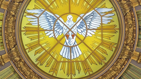 Das Bild einer weißen Taube als Symbol für den Heiligen Geist in einer Kuppel des Berliner Doms © imago images / epd 