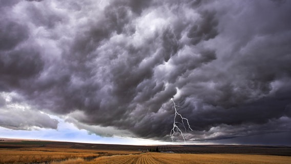 Gewitterwolke und Blitz über der Landschaft © Colourbox Foto: -
