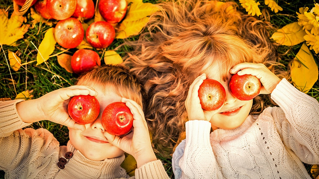 21 Tipps für günstige Aktivitäten in den Herbstferien in SH