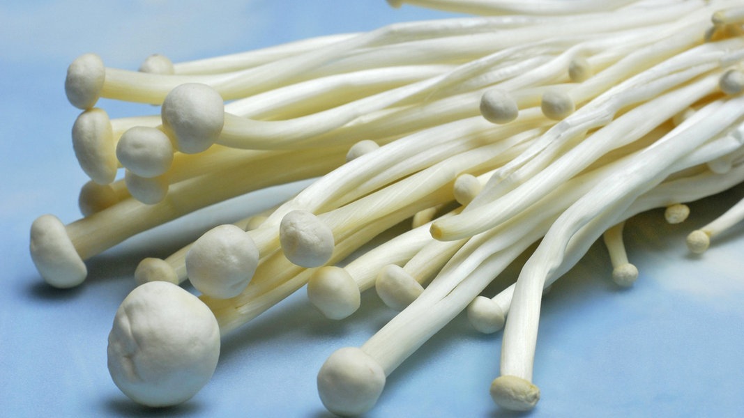 Enoki Pilze Ndr De Ratgeber Kochen Zutaten Zum Kochen