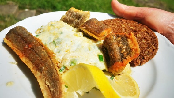 Brataal mit Schwarzbrot und Kräuterrührei auf einem weißen Teller © NDR Foto: Heinz Galling