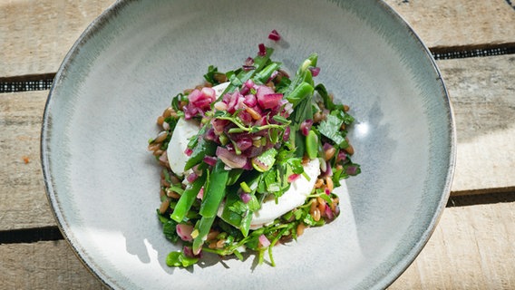 Bowl von gemischten Bohnen, Dinkelsalat und Ziegenfrischkäse in einem tiefen Teller serviert. © NDR Foto: Tarik Rose